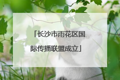 长沙市雨花区国际传播联盟成立